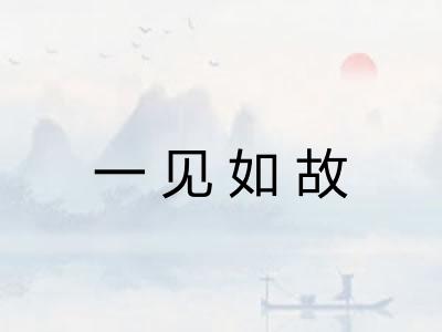 一见如故