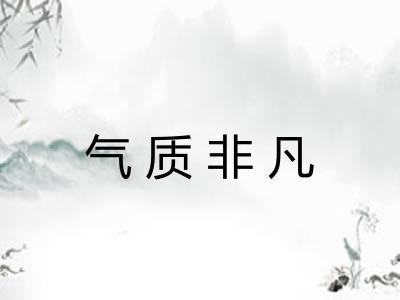 气质非凡