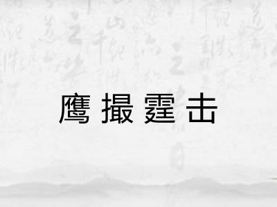 鹰撮霆击