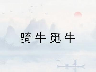 骑牛觅牛