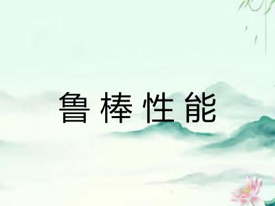 鲁棒性能