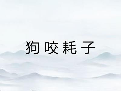 狗咬耗子