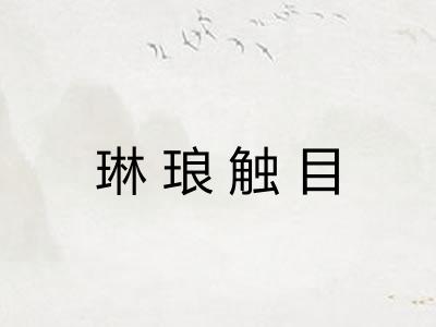 琳琅触目