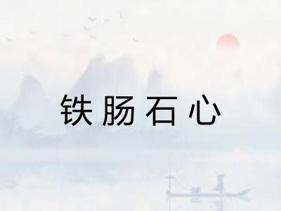 铁肠石心