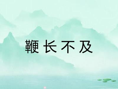 鞭长不及