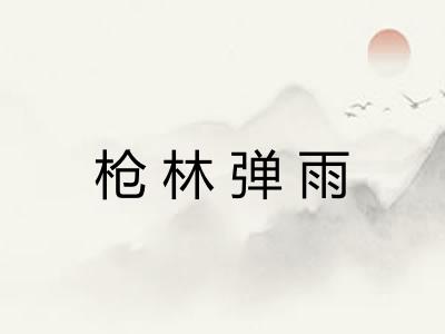 枪林弹雨