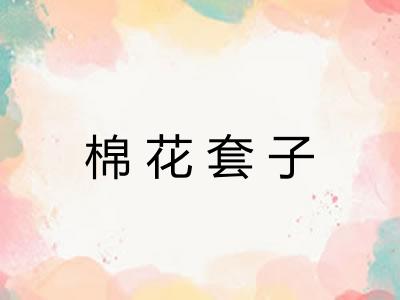 棉花套子