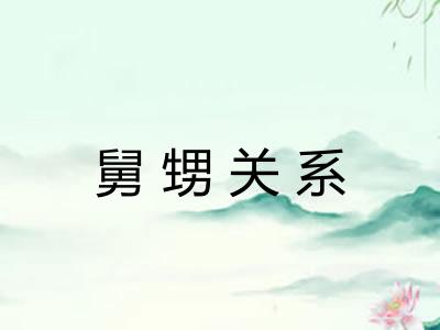 舅甥关系