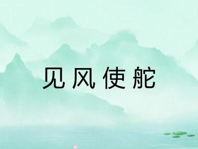 见风使舵