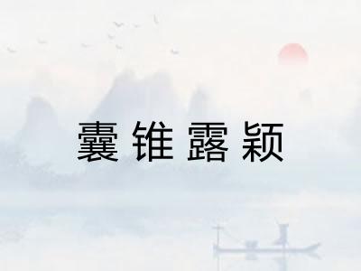 囊锥露颖