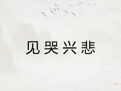 见哭兴悲