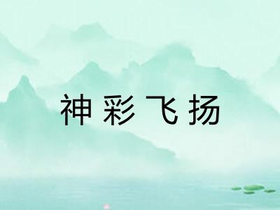 神彩飞扬