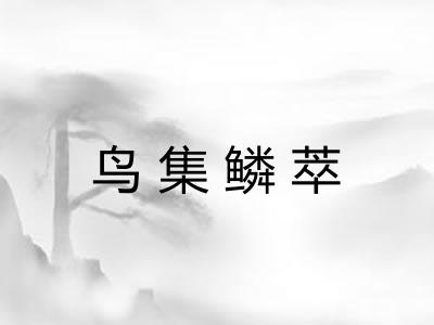 鸟集鳞萃