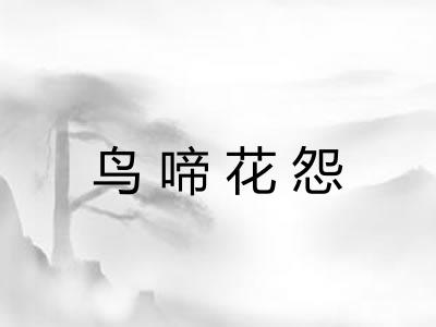 鸟啼花怨