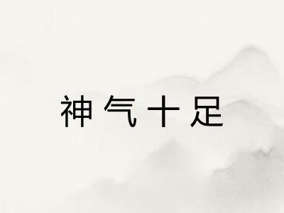 神气十足