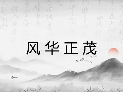 风华正茂