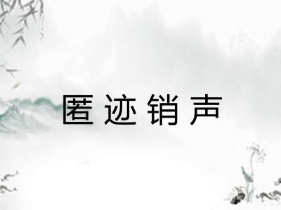 匿迹销声