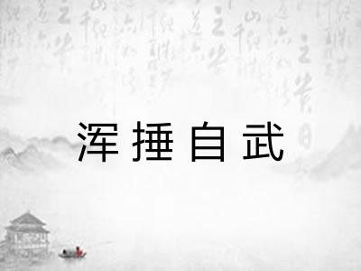 浑捶自武