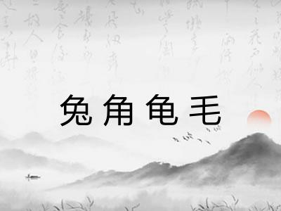 兔角龟毛