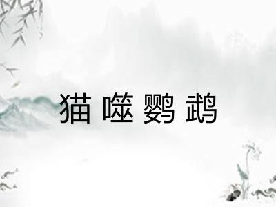 猫噬鹦鹉