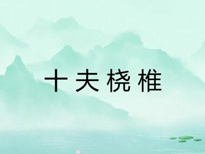 十夫桡椎