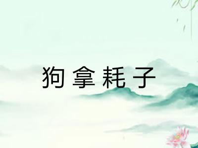 狗拿耗子