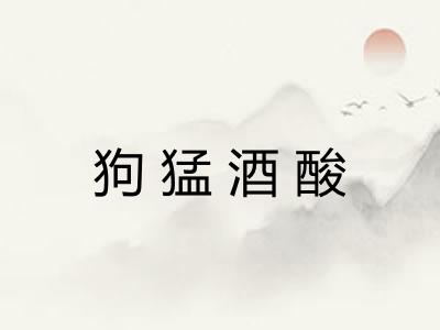 狗猛酒酸