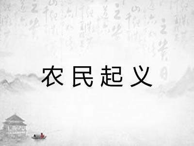 农民起义