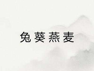 兔葵燕麦