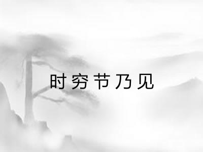 时穷节乃见
