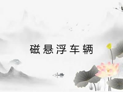 磁悬浮车辆