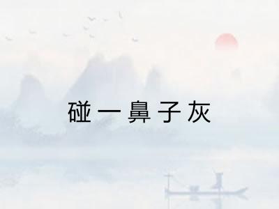 碰一鼻子灰