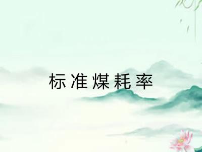 标准煤耗率