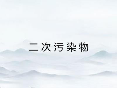 二次污染物