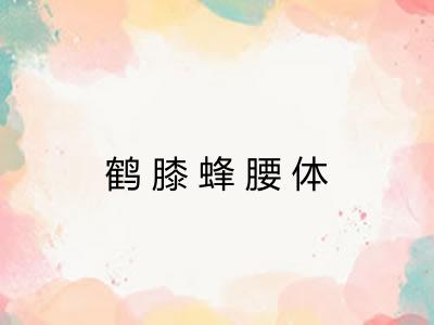 鹤膝蜂腰体