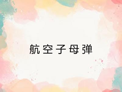 航空子母弹