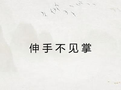 伸手不见掌