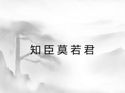 知臣莫若君