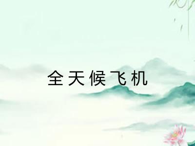 全天候飞机