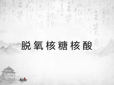 脱氧核糖核酸