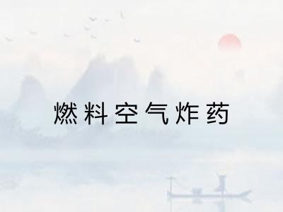 燃料空气炸药